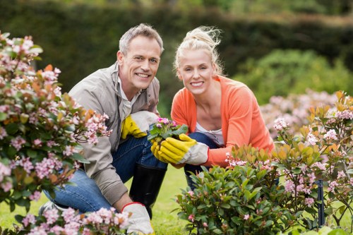 Lush garden in Highgate maintained by professional gardeners